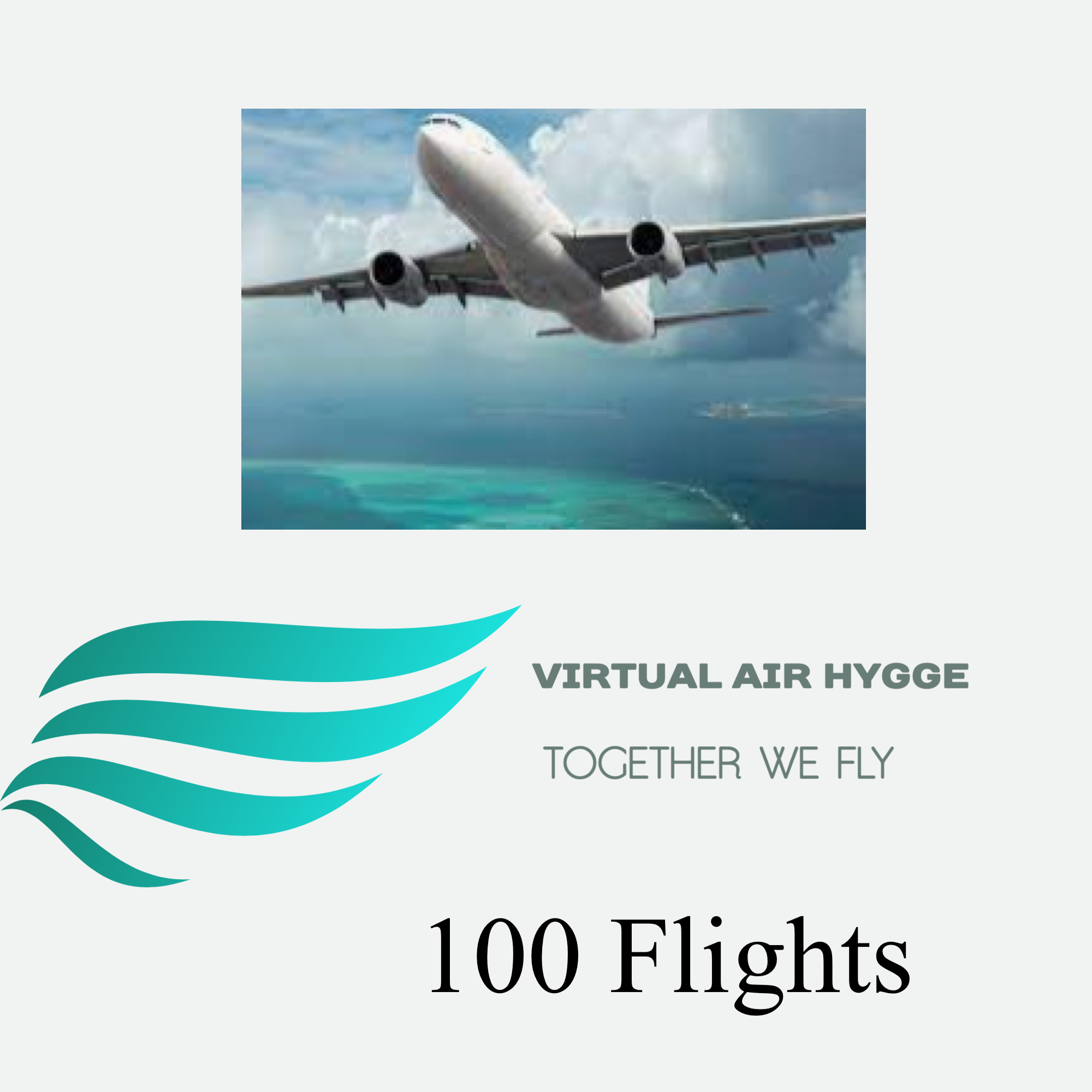 Pilot 100 flights