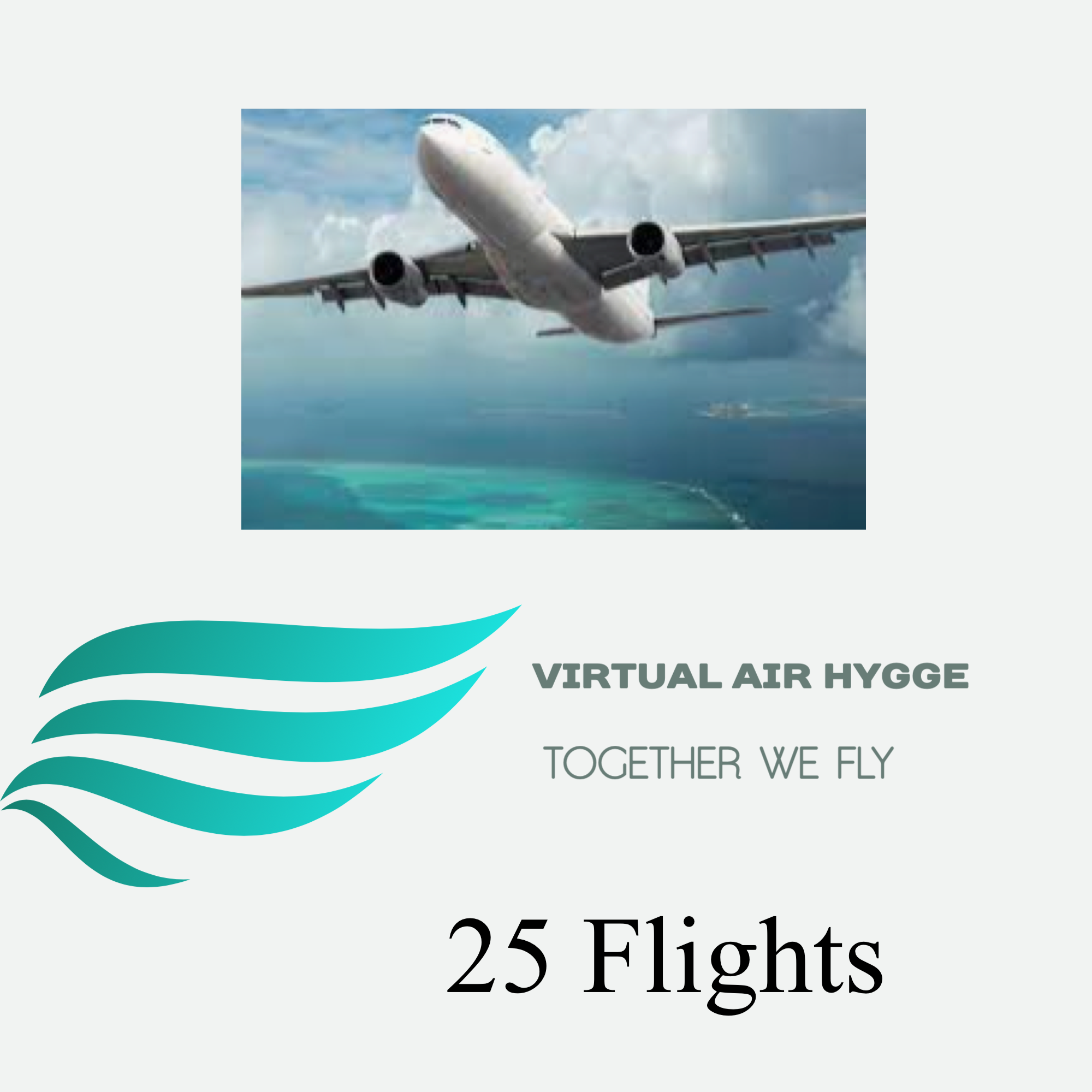 Pilot 25 flights