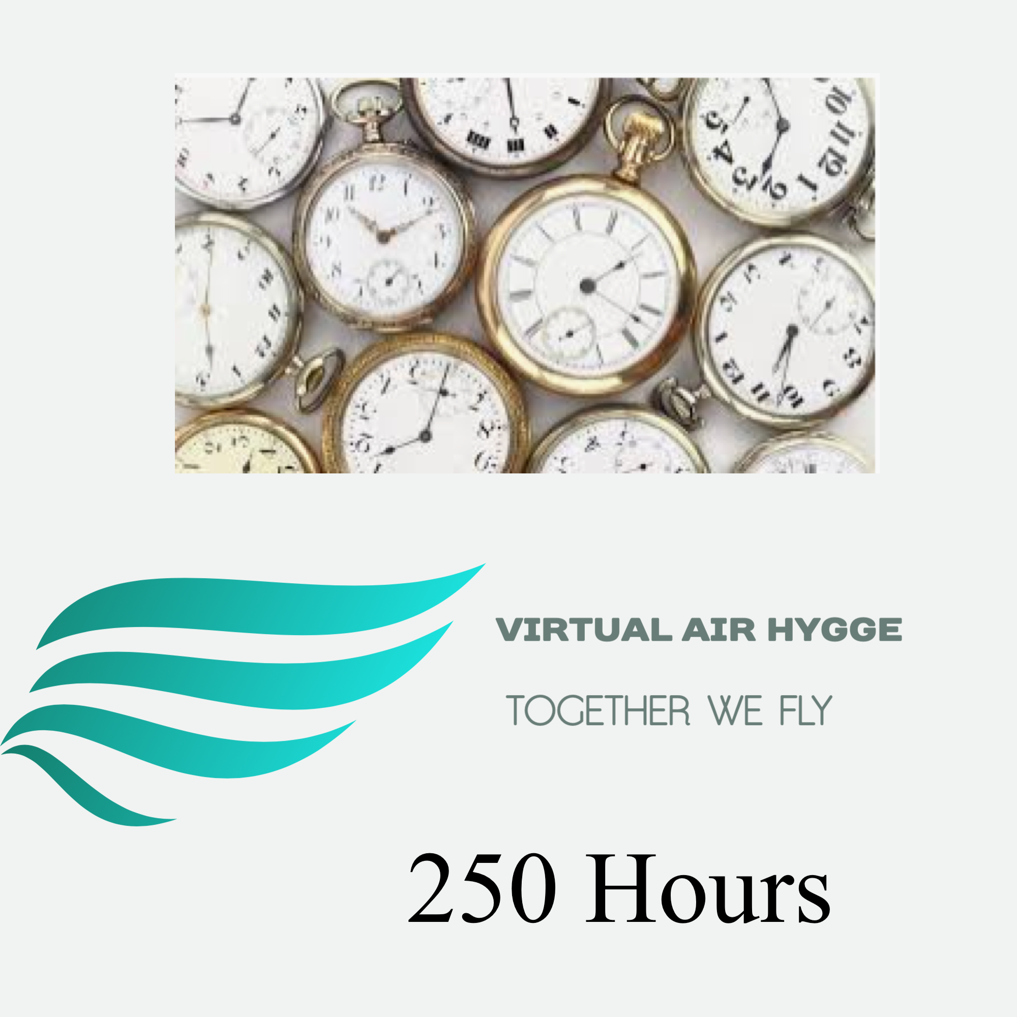 Pilot 250 Hours