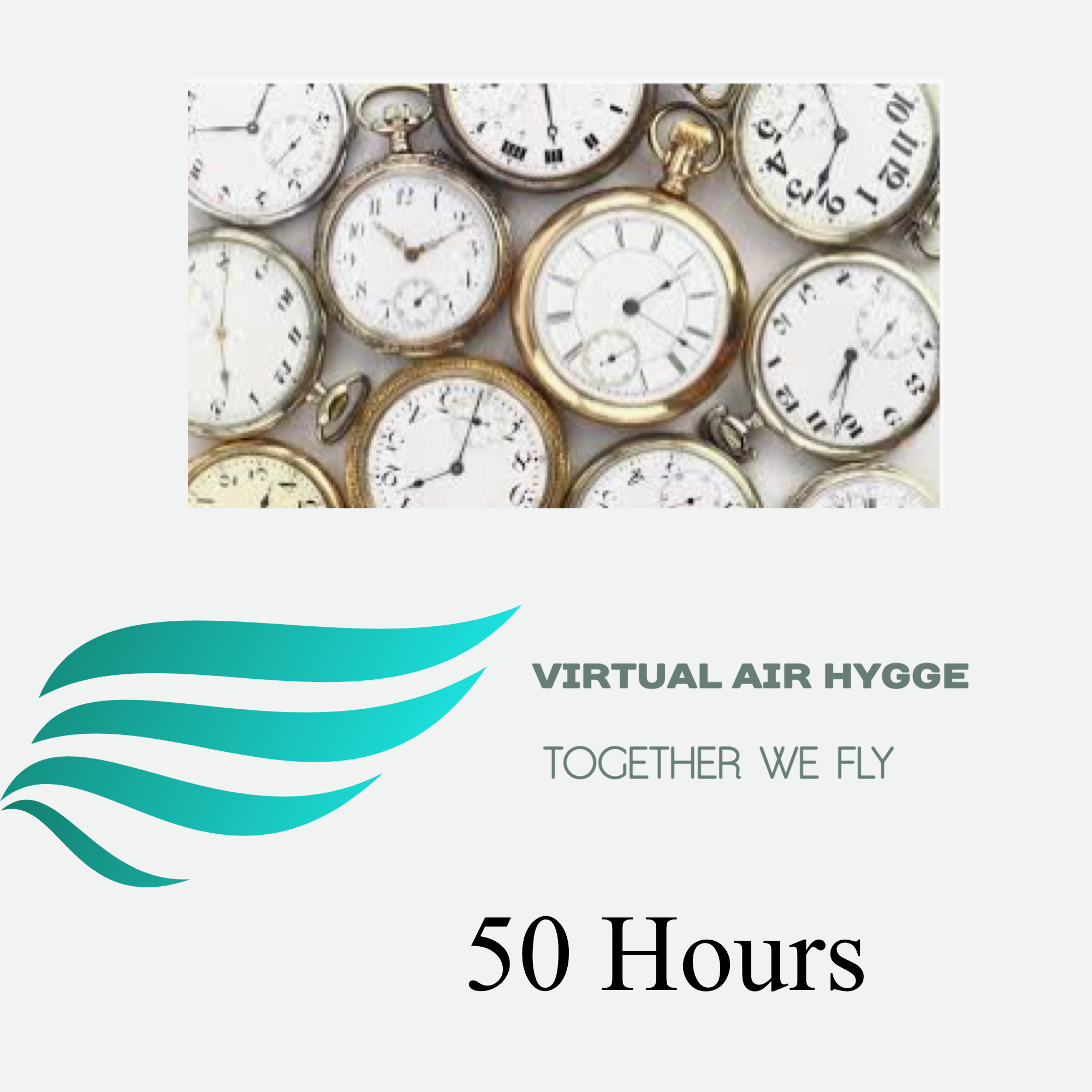 Pilot 50 Hours